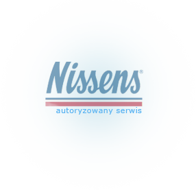 Autoryzowany Serwis Nissans